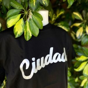 Remera Ciudad plateada